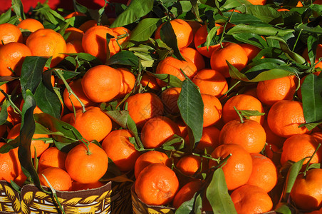 橙色橘子柑橘红番茄干Citrusmangerina图片