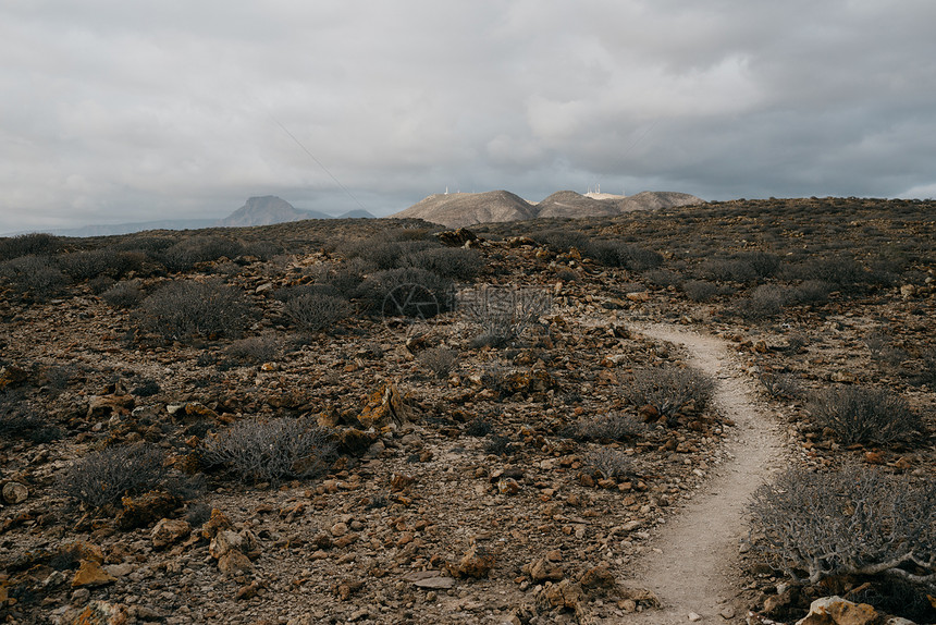 孤单地穿过沙漠丛林和远处的山丘Ten图片