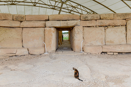 HagarQim在马耳他岛上发现的巨石寺院建筑群高清图片