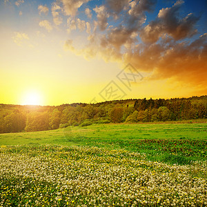 春天的风景日落时草原上图片