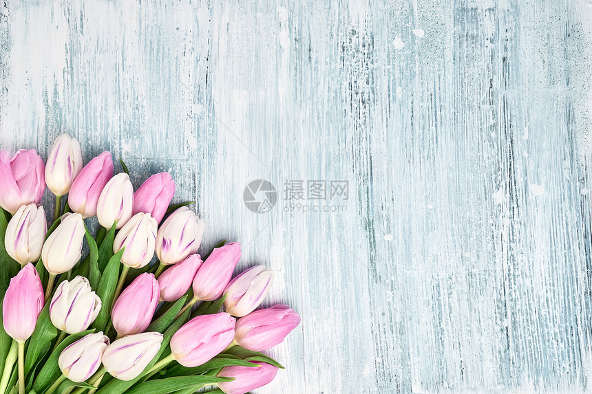 粉红色和白色的郁金香花束图片