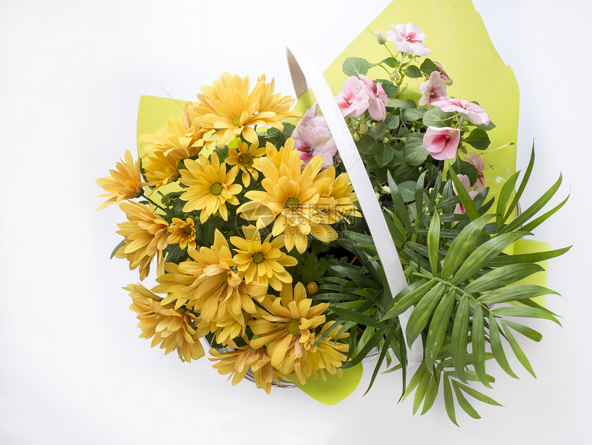 与黄色雏菊的花卉组合图片