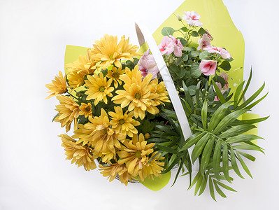 与黄色雏菊的花卉组合图片