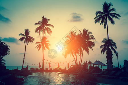 日落时分热带海滩上棕榈树的剪影图片