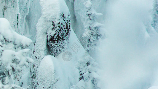 滑雪胜地的雪山峰和树木视频树枝顶端覆盖着冬日的白雪图片