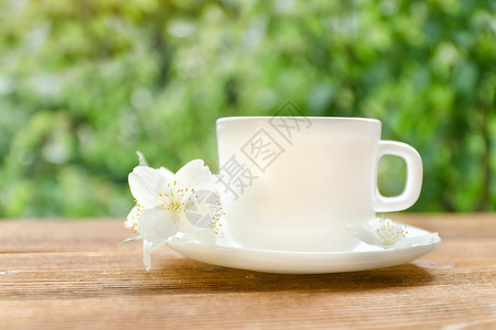 白茶杯子有茉莉花在背景绿图片