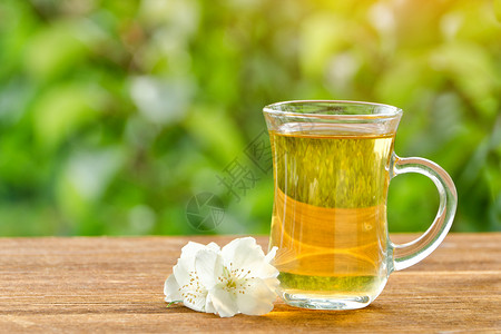 透明杯茶有茉莉花在绿阳光和图片