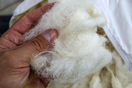 羊毛羊毛图画用天然羊毛图片