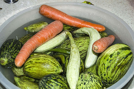 制作咸菜蔬采摘辣椒甜瓜胡萝卜黄瓜和大蒜图片