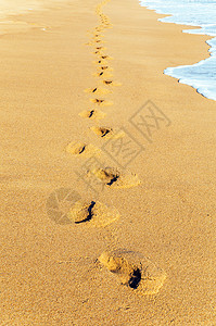沙丘滩路上的脚印图片