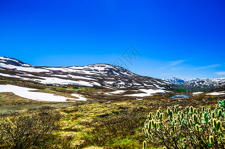 挪威夏季山地风景展望图片