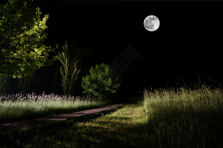 大满月的美丽夜晚风景在山路上登山丘和树木绿草地雾之夜图片