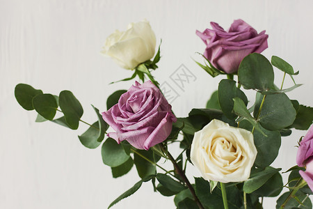 浅紫色和白色玫瑰以及白底玻璃杯中叶绿图片