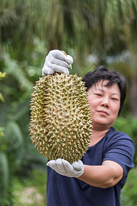 持有榴莲的亚洲女农民是泰国的水果之王图片