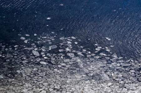 融化和切碎的冰块在水中漂浮作为春图片