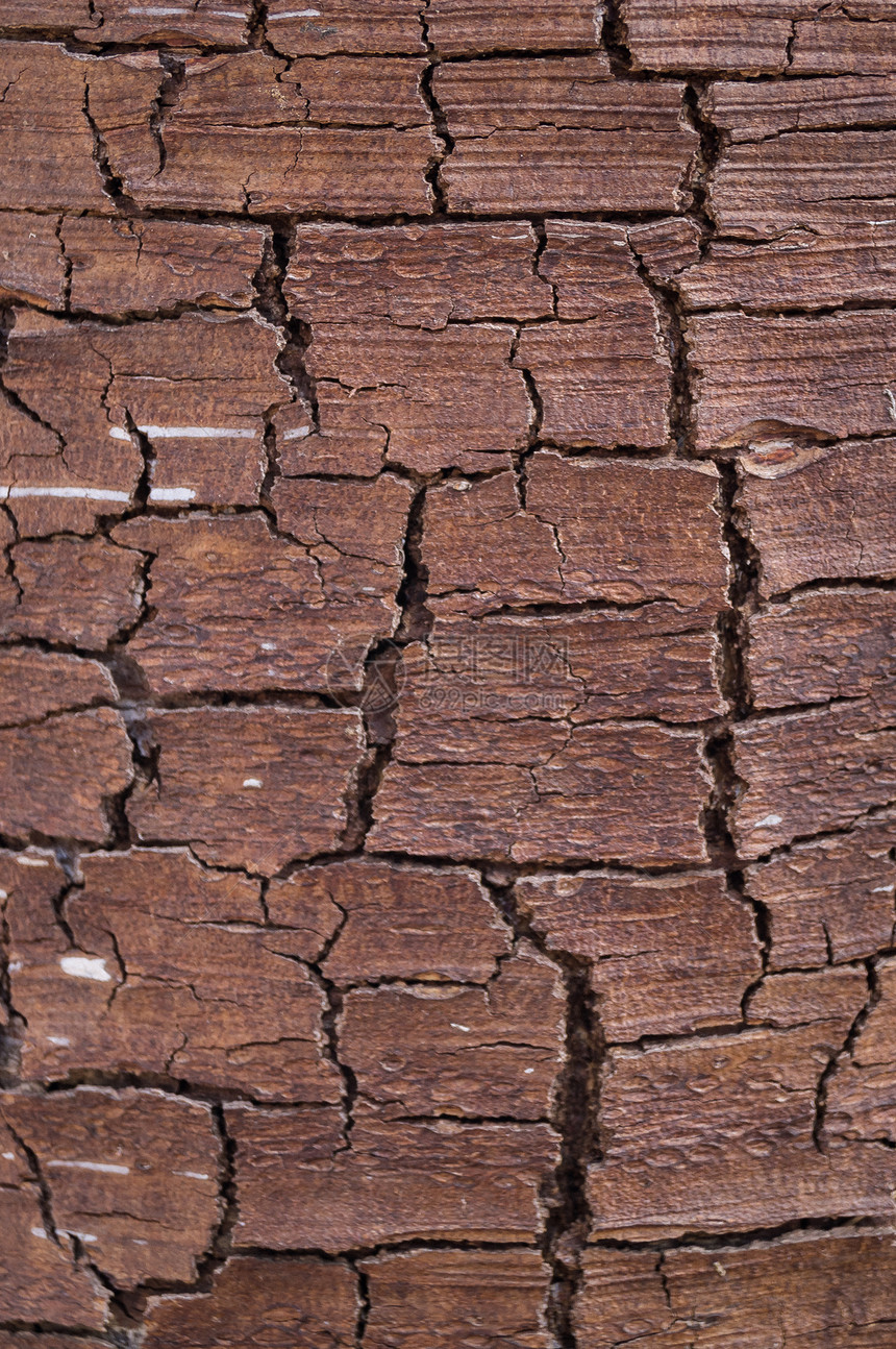 棕色树皮上的裂缝描绘了沙漠的干燥图片