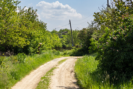 俄罗斯一个村庄的夏季风景和道路农村的阳图片