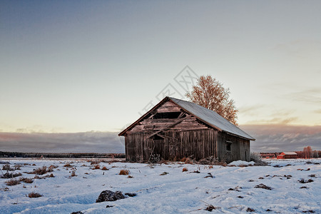 冬天即将到来芬兰北部图片