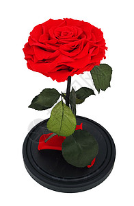 红玫瑰瓶中持久的玫瑰稳定永恒的礼图片