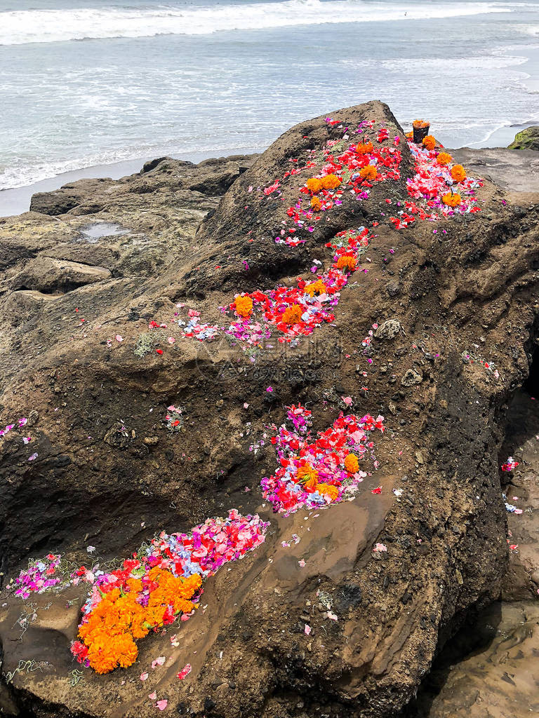 海边的岩石在岩石上有多彩的花朵和图片