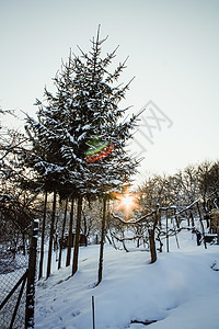 美丽的冬季景观与丰富的雪花图片