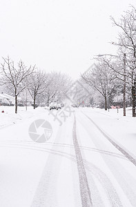 被大雪覆盖的郊区街道图片