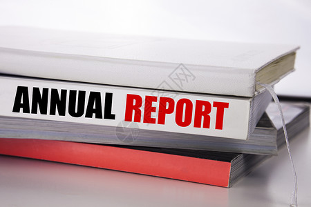 编写显示年度报告的文本分析能的商业概念写在白图片