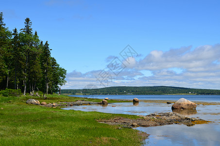 湖的左边有绿树海岸线有岩石图片