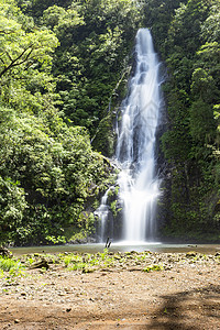 热带森林的瀑布有良图片