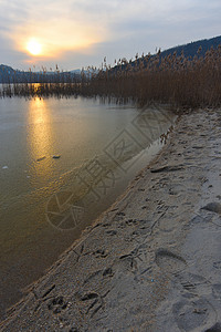 寒冷的湖水岸边海滩冰冻的河川图片