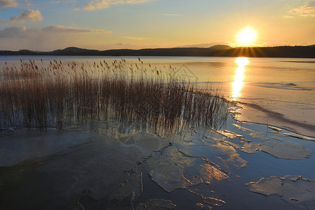冬天风景与结冰的河芦苇和日落天空黎明图片