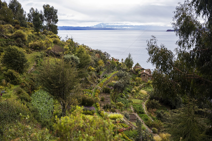 玻利维亚Titicaca湖在IsladelSo图片