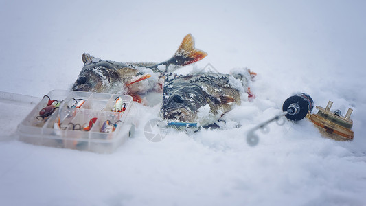 佩奇在冬季钓鱼时图片