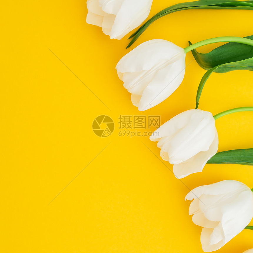 黄色背景下有郁金香的花粉组成平面图片