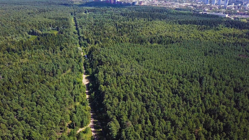 鸟瞰无限空间的森林平原和在高速公路上行驶的汽车夹子在秋季森林鸟瞰图的道路森林之间的道路图片