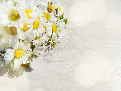 菊花束和阳光明的横梁夏季图片