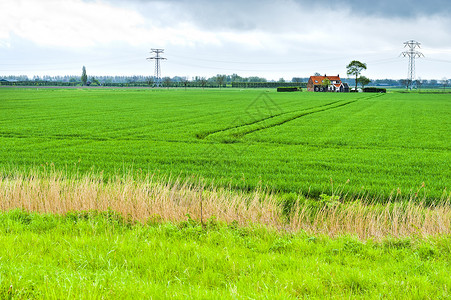 荷兰从See开垦的土地上的农业荷兰水坝形成的潮图片