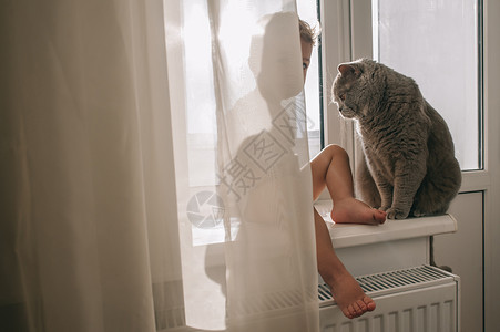 男孩和猫坐在窗边图片