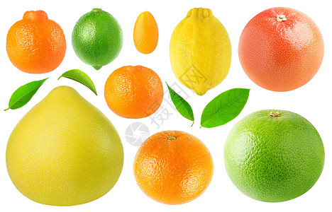 克莱门汀石灰柚子金橘子柠檬橙子粉色和白色葡萄柚背景图片