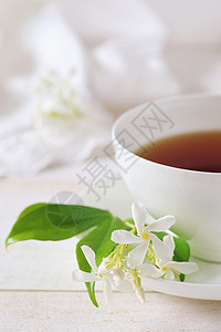 茉莉花茶在白色背景的白骨瓷杯中图片