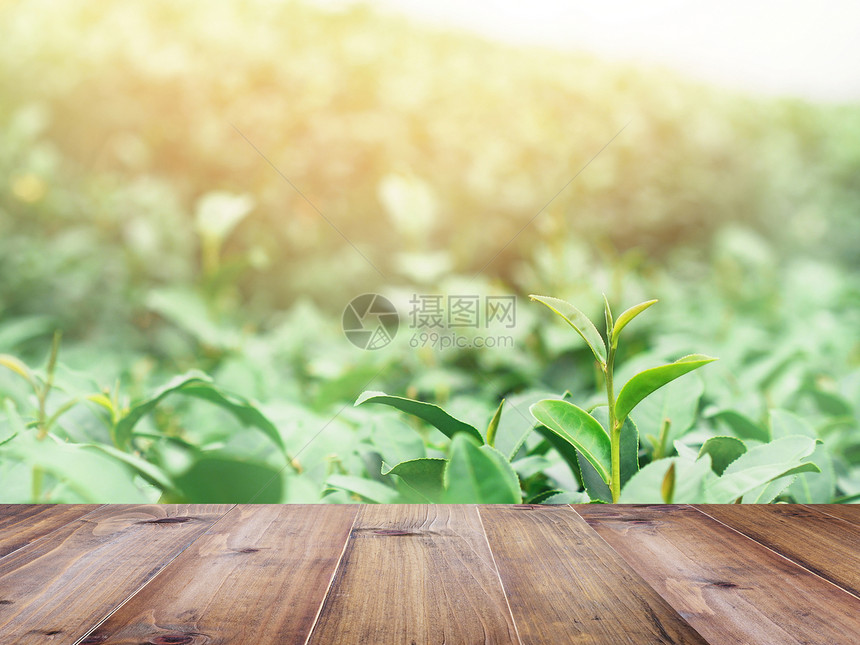 泰国北部绿茶场的地板砖木板或木制顶桌春时风景和背景蒙塔奇风图片