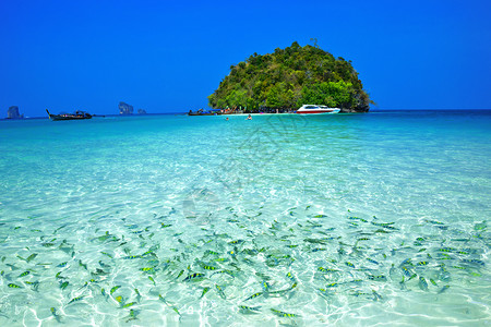 泰国热带海域的美丽图片