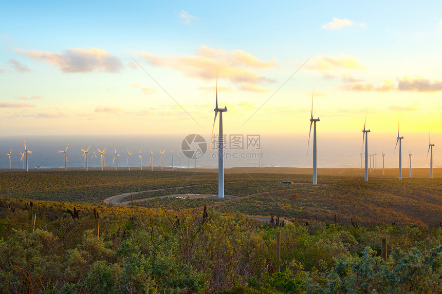 智利科金博地区风电场的风车图片