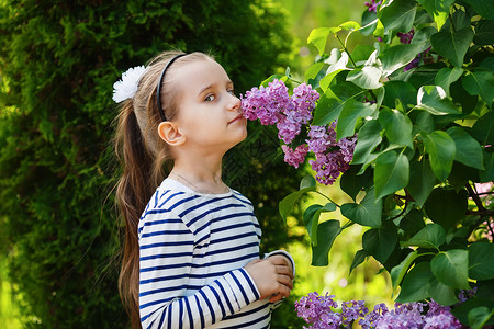 孩子闻到花朵的味道小女孩和小姑娘在花园户外美丽的春日图片