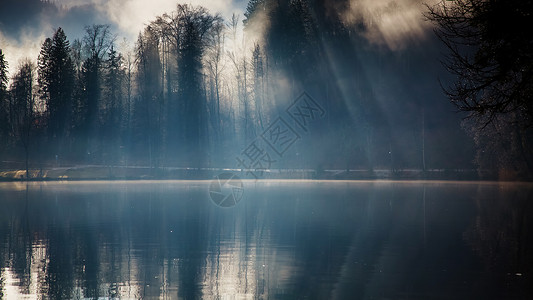 斯洛文尼亚Bled湖的Miss图片