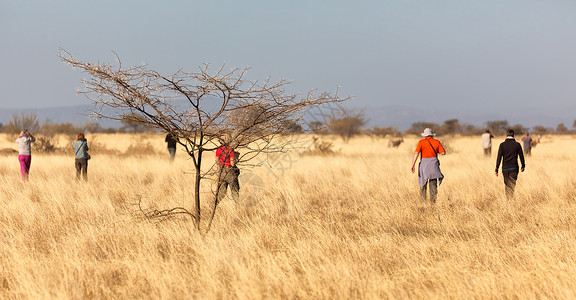 在埃塞俄比亚非洲公园游客图片