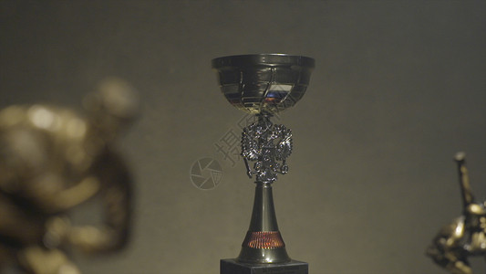 灰色背景的奖杯名人堂荣耀殿堂奖杯在木桌和深色背景上的低调图像图片