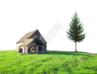 有绿色新鲜草甸和白色背景的房子和树图片