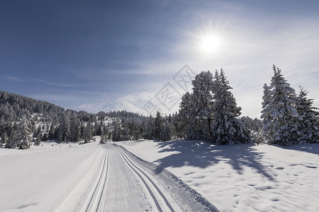 在瑞士一个美丽的冬季天气中跨图片