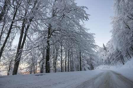 冬天在山上的路上有雪路和汽车轨道白雪覆盖的树木和山脉冬季驾图片